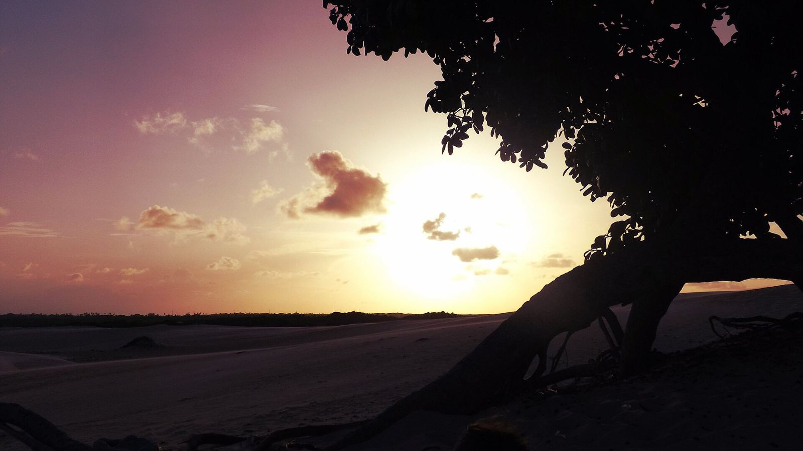 Pôr do sol com árvore em silhueta no litoral norte de Natal, cenário romântico para casais